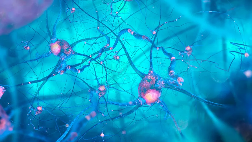 Investigación de nuevos tratamientos contra enfermedades neurodegenerativas