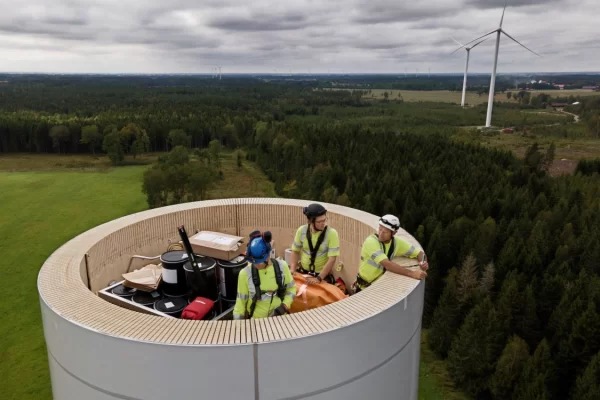 Torres Eólicas Con Diseño Biomimético: Inspiración Natural Para Energía Sostenible